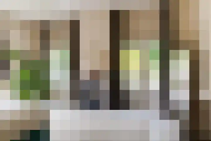 Oosterhoutlaan 1 Haarlem thumbnail 25
