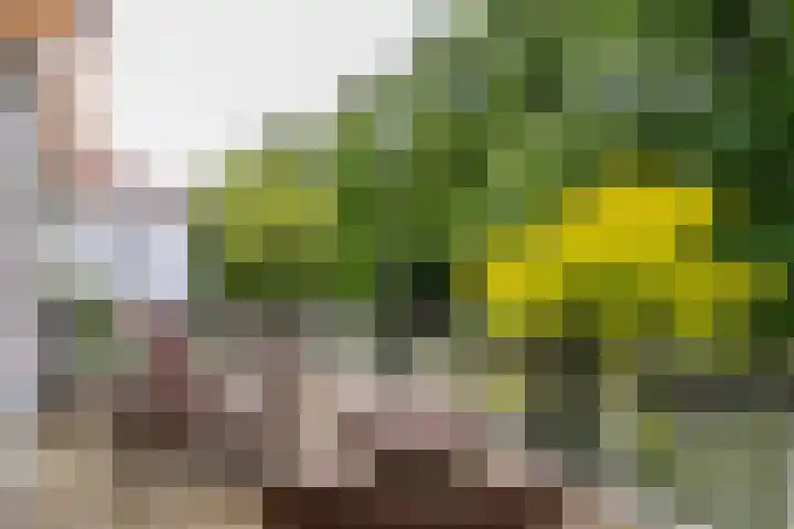 Oosterhoutlaan 1 Haarlem thumbnail 26