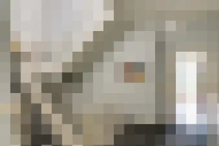 Oosterhoutlaan 1 Haarlem thumbnail 33