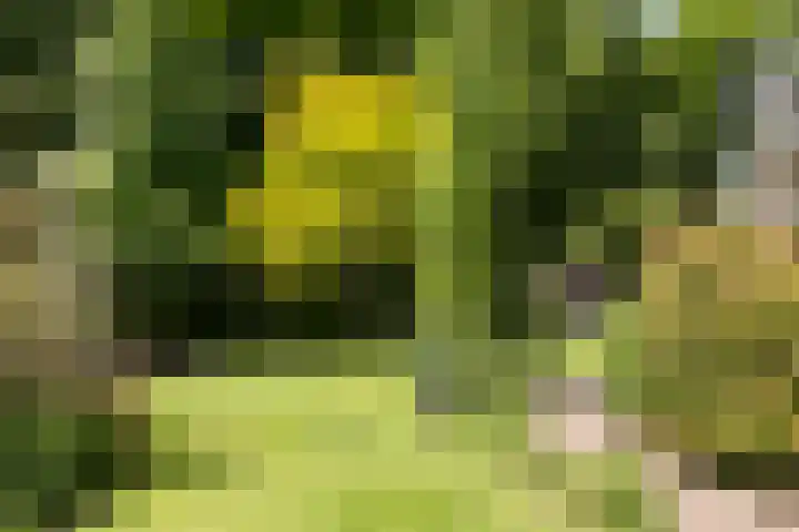 Oosterhoutlaan 1 Haarlem thumbnail 47