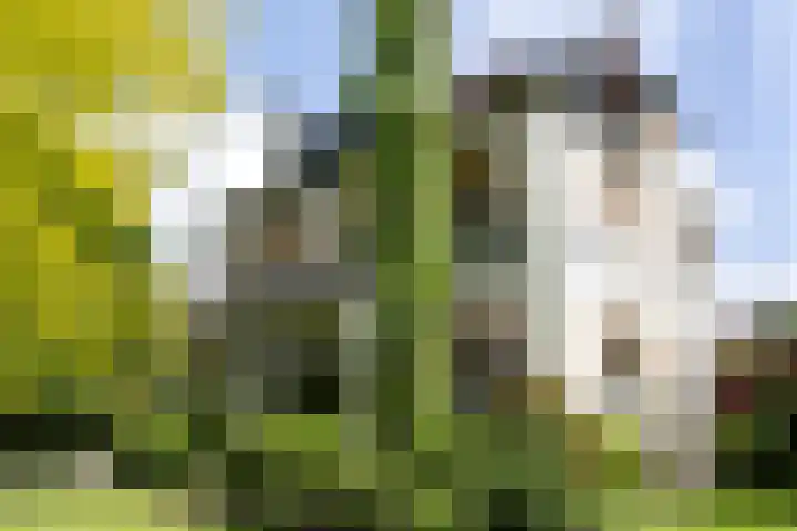 Oosterhoutlaan 1 Haarlem thumbnail 52