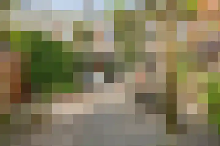 Oosterhoutlaan 36 Amstelveen thumbnail 26