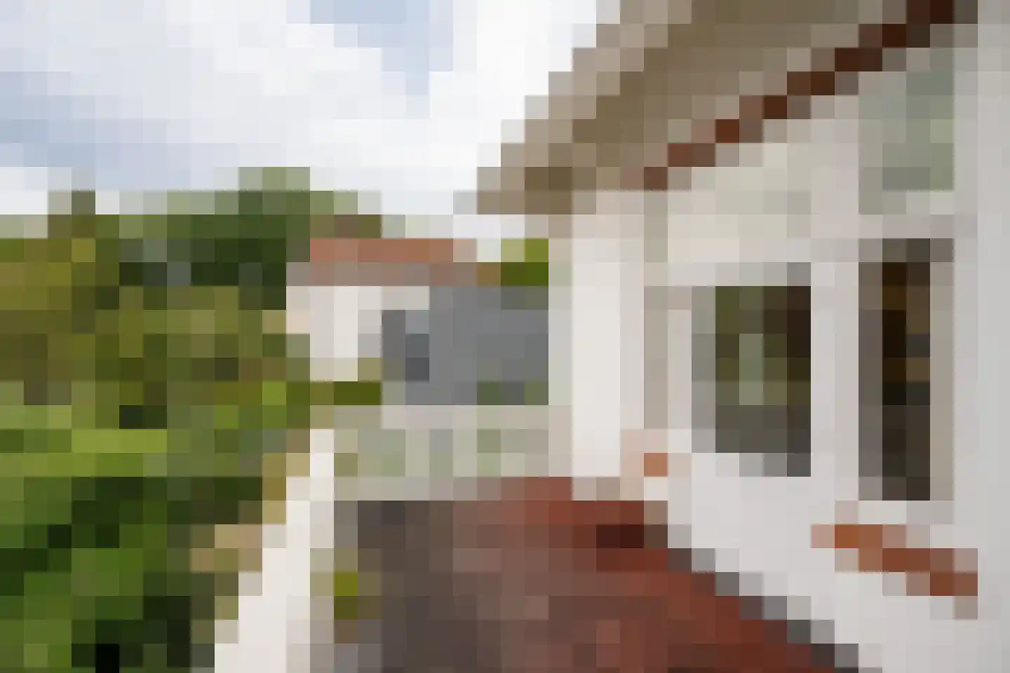 Oosterhoutlaan 5 Haarlem thumbnail 20