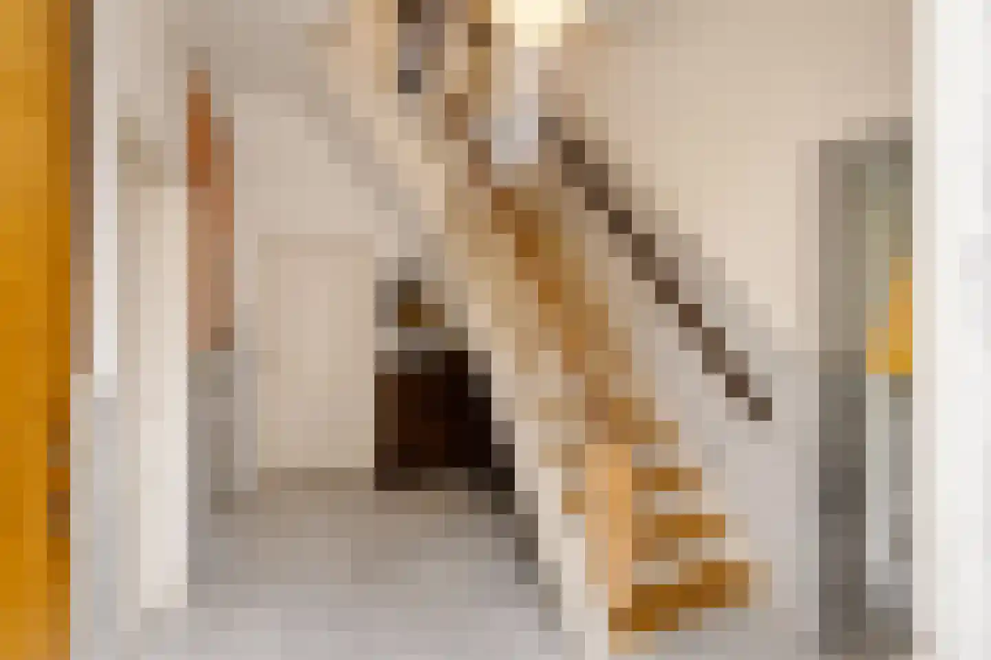 Oosterhoutlaan 5 Haarlem thumbnail 6