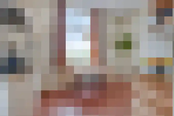 Oosterhoutsedijk 1 Lent thumbnail 10