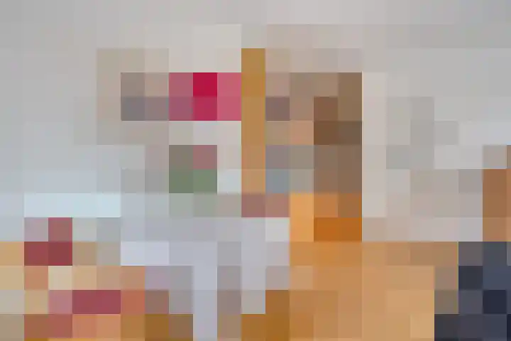 Oosterhoutsedijk 1 Lent thumbnail 16