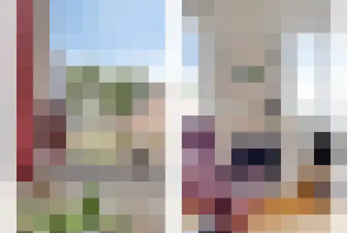 Oosterhoutsedijk 1 Lent thumbnail 17