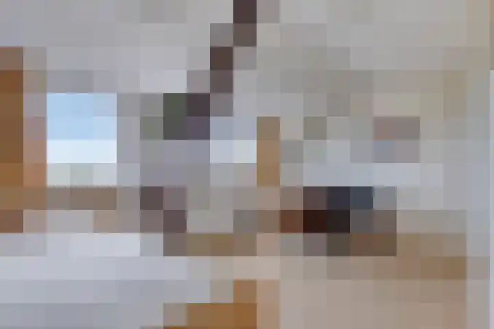 Oosterhoutsedijk 1 Lent thumbnail 19