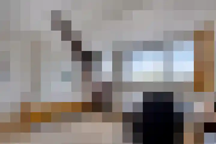 Oosterhoutsedijk 1 Lent thumbnail 20