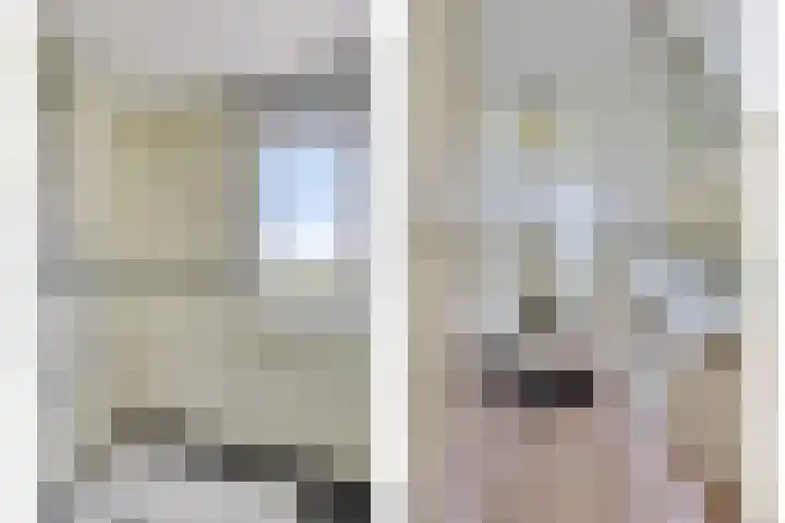 Oosterhoutsedijk 1 Lent thumbnail 22