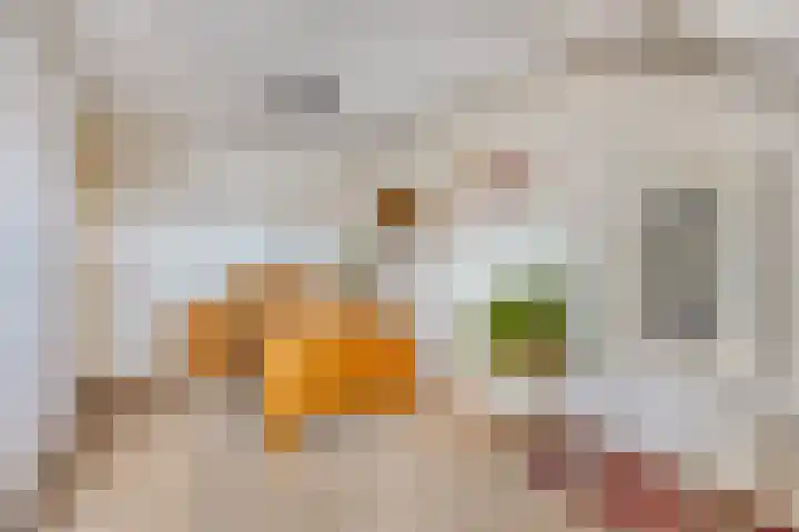 Oosterhoutsedijk 1 Lent thumbnail 24