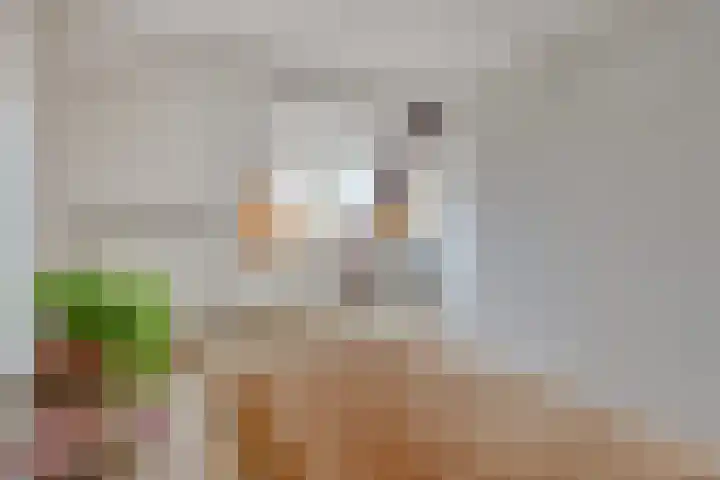 Oosterhoutsedijk 1 Lent thumbnail 25