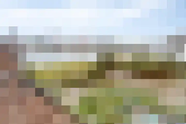 Oosterhoutsedijk 1 Lent thumbnail 26
