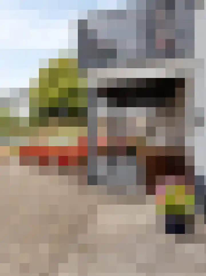 Oosterhoutsedijk 1 Lent thumbnail 32