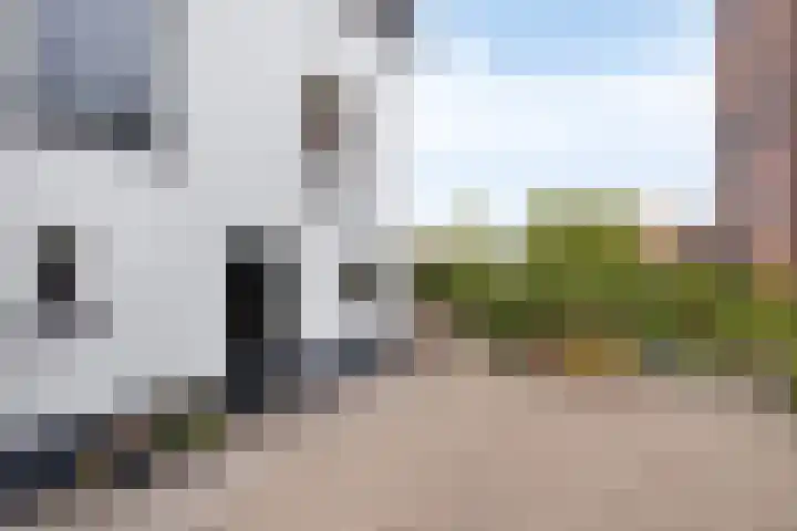 Oosterhoutsedijk 1 Lent thumbnail 33
