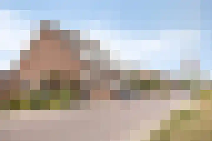 Oosterhoutsedijk 1 Lent thumbnail 35