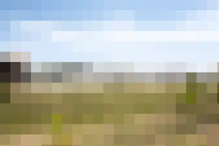 Oosterhoutsedijk 1 Lent thumbnail 38