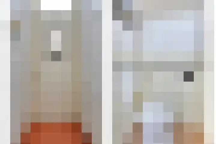 Oosterhoutsedijk 1 Lent thumbnail 8
