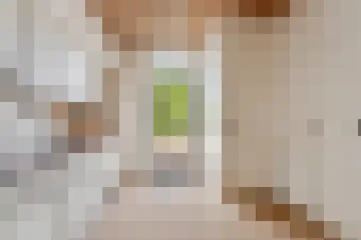 Oosterhoutsedijk 18 Lent thumbnail 12