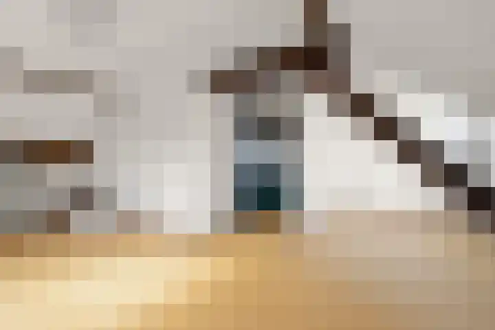 Oosterhoutsedijk 18 Lent thumbnail 19