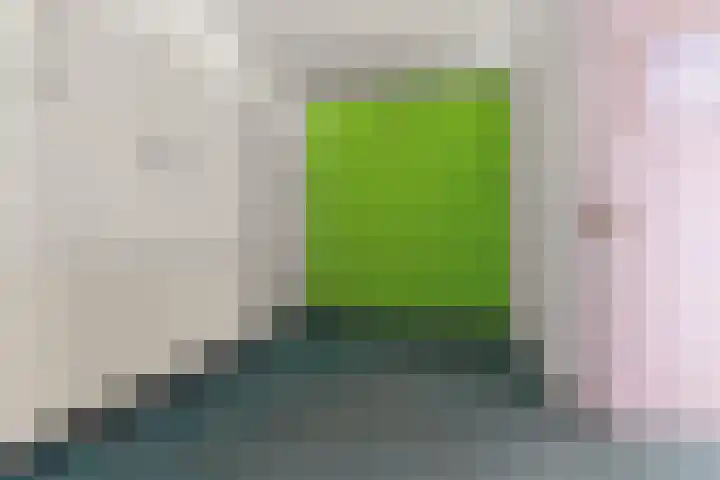 Oosterhoutsedijk 18 Lent thumbnail 31