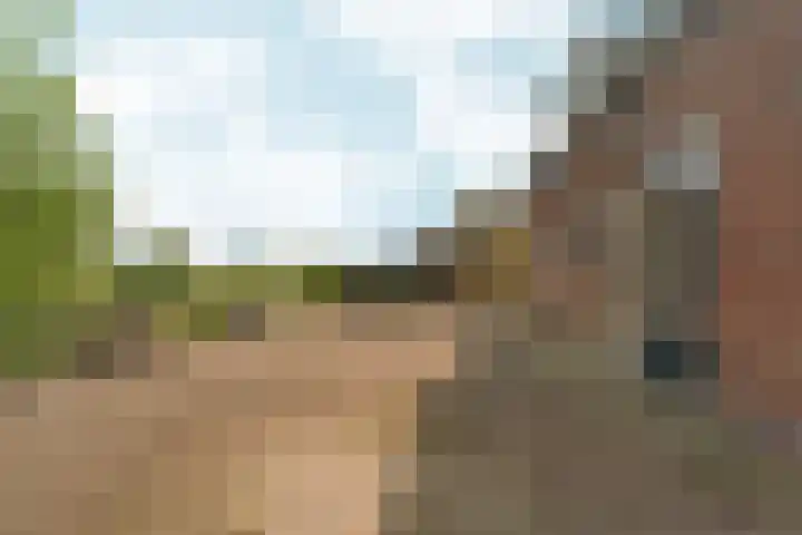 Oosterhoutsedijk 18 Lent thumbnail 37