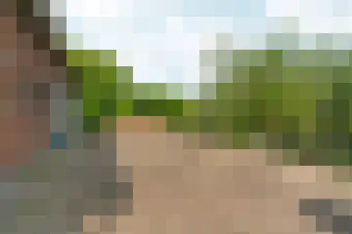 Oosterhoutsedijk 18 Lent thumbnail 38