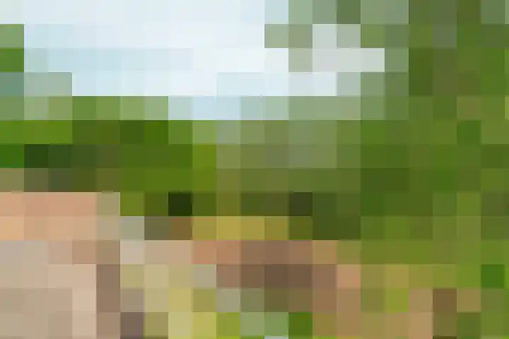 Oosterhoutsedijk 18 Lent thumbnail 39
