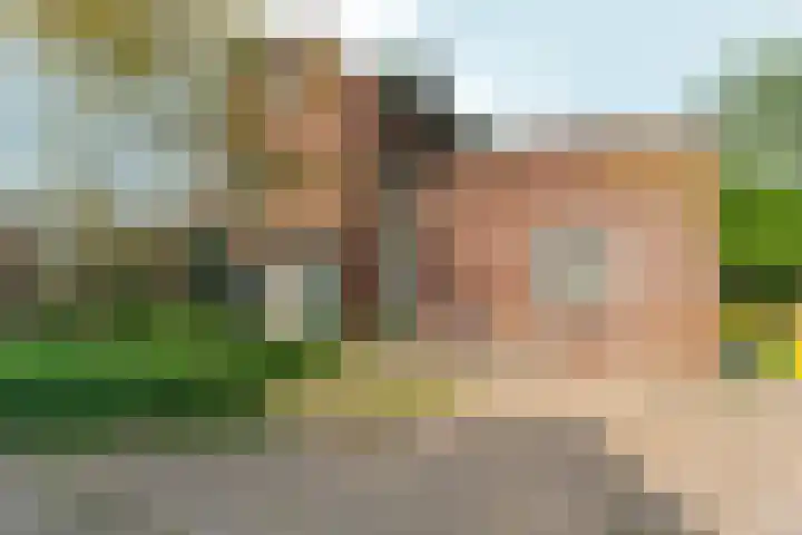 Oosterhoutsedijk 18 Lent thumbnail 41