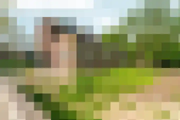 Oosterhoutsedijk 18 Lent thumbnail 42
