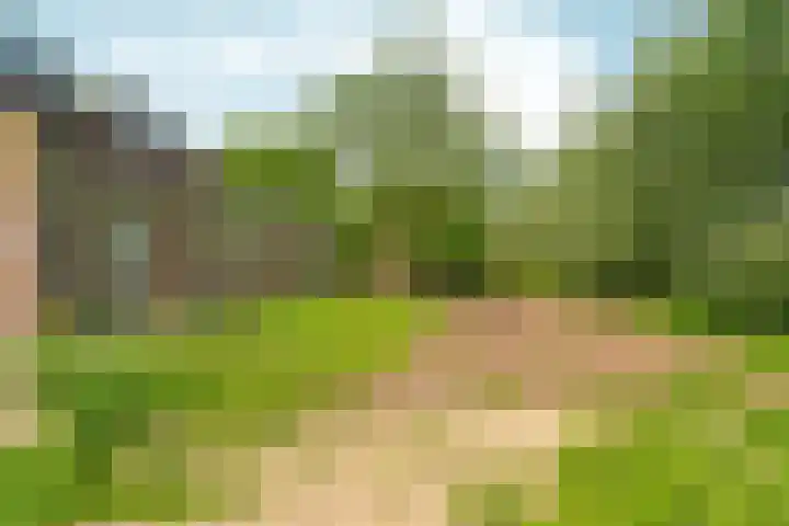 Oosterhoutsedijk 18 Lent thumbnail 43