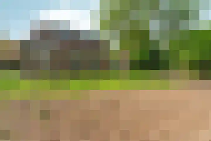 Oosterhoutsedijk 18 Lent thumbnail 44