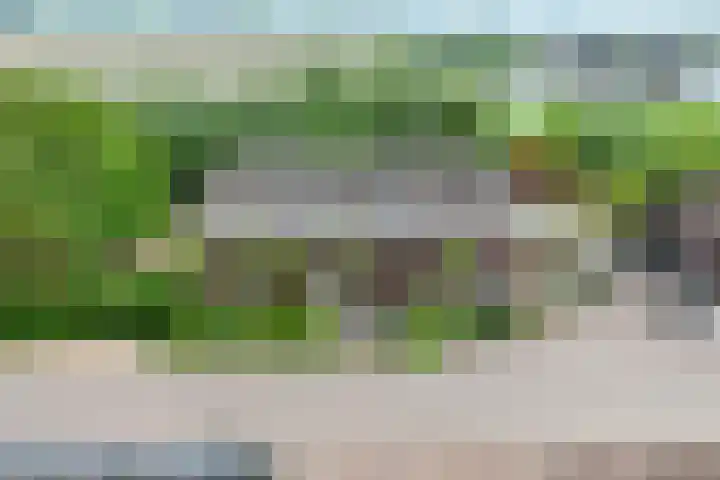 Oosterhoutsedijk 18 Lent thumbnail 45
