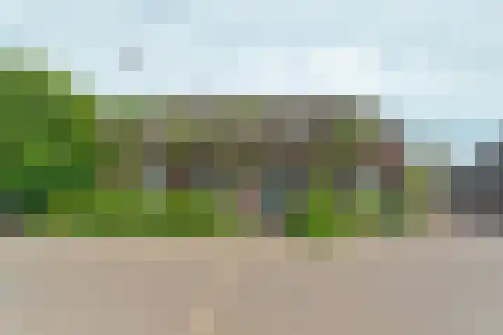 Oosterhoutsedijk 18 Lent thumbnail 46