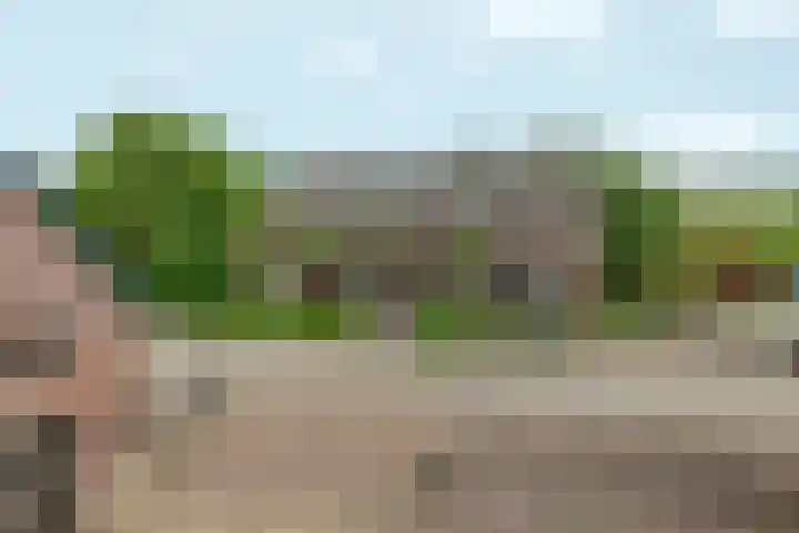 Oosterhoutsedijk 18 Lent thumbnail 47