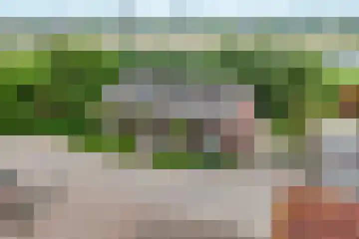 Oosterhoutsedijk 18 Lent thumbnail 48