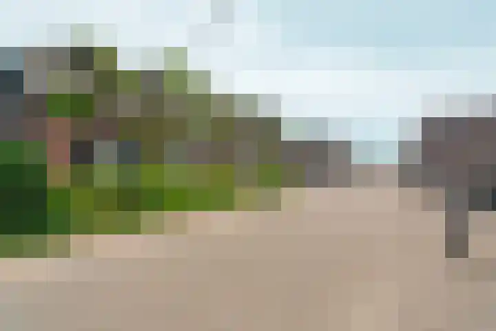 Oosterhoutsedijk 18 Lent thumbnail 50
