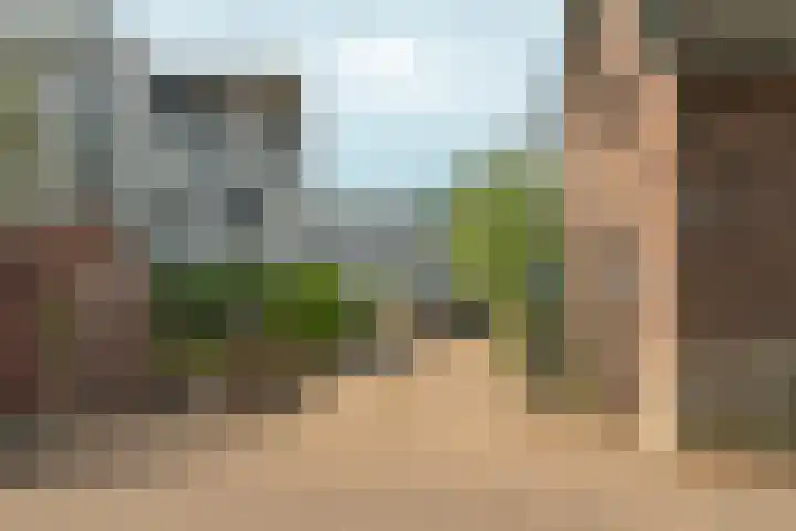 Oosterhoutsedijk 18 Lent thumbnail 51