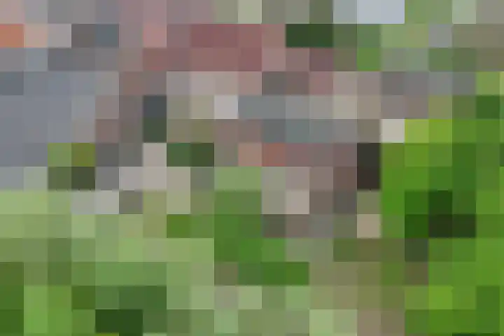 Oosterhoutsedijk 18 Lent thumbnail 53