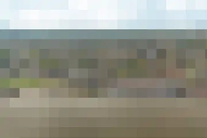 Oosterhoutsedijk 18 Lent thumbnail 59