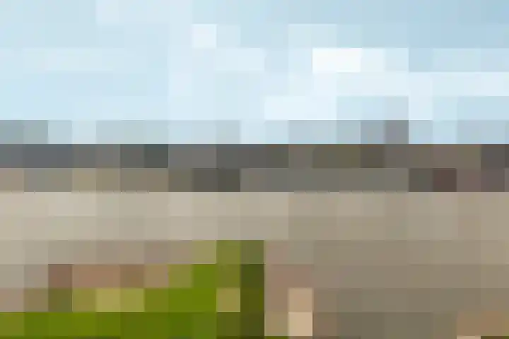 Oosterhoutsedijk 18 Lent thumbnail 60