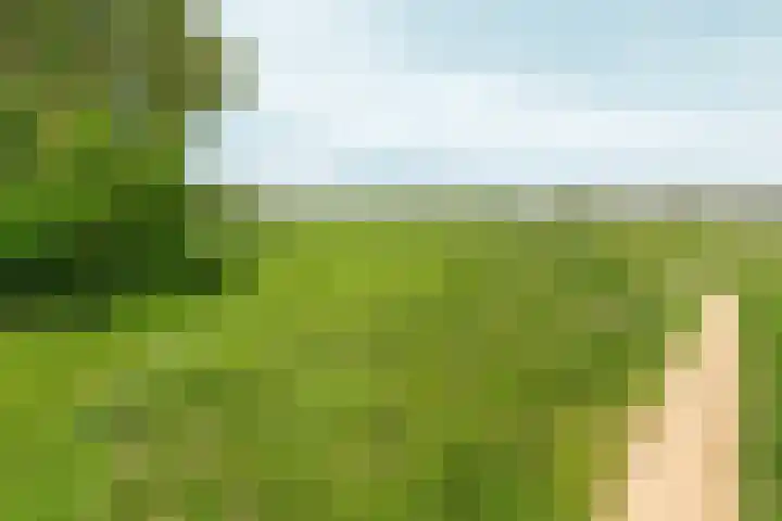 Oosterhoutsedijk 18 Lent thumbnail 62