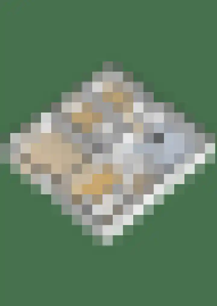 Oosterhoutsedijk 18 Lent thumbnail 64