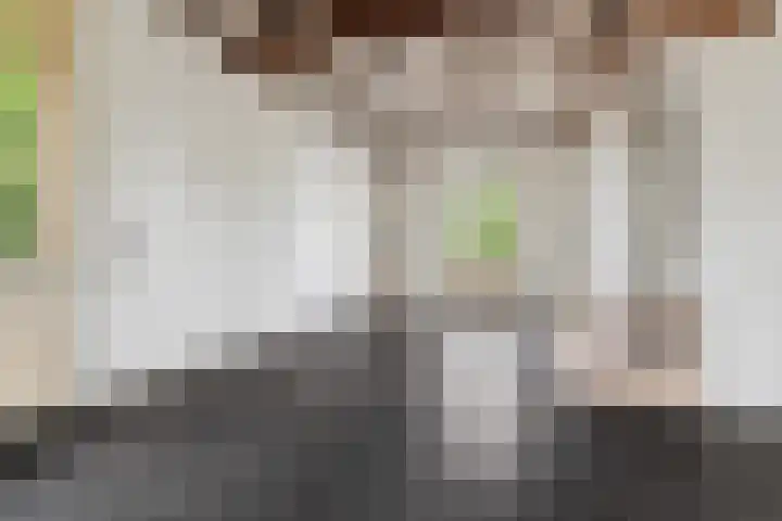Oosterhoutsedijk 18 Lent thumbnail 8
