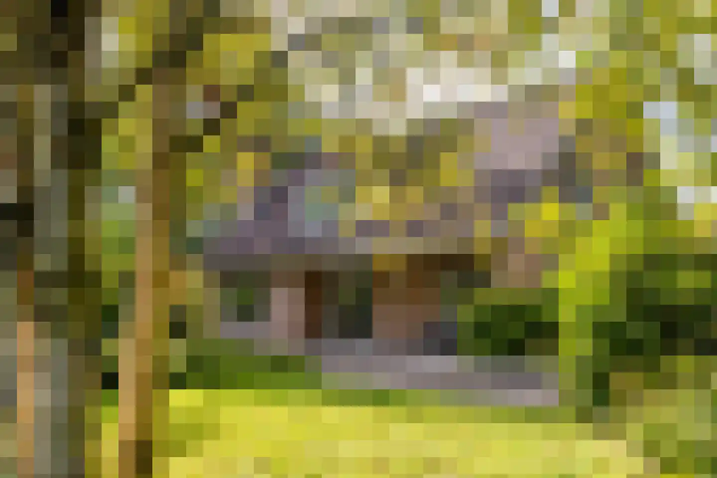 Oosterhoutseweg 141 Teteringen thumbnail 6