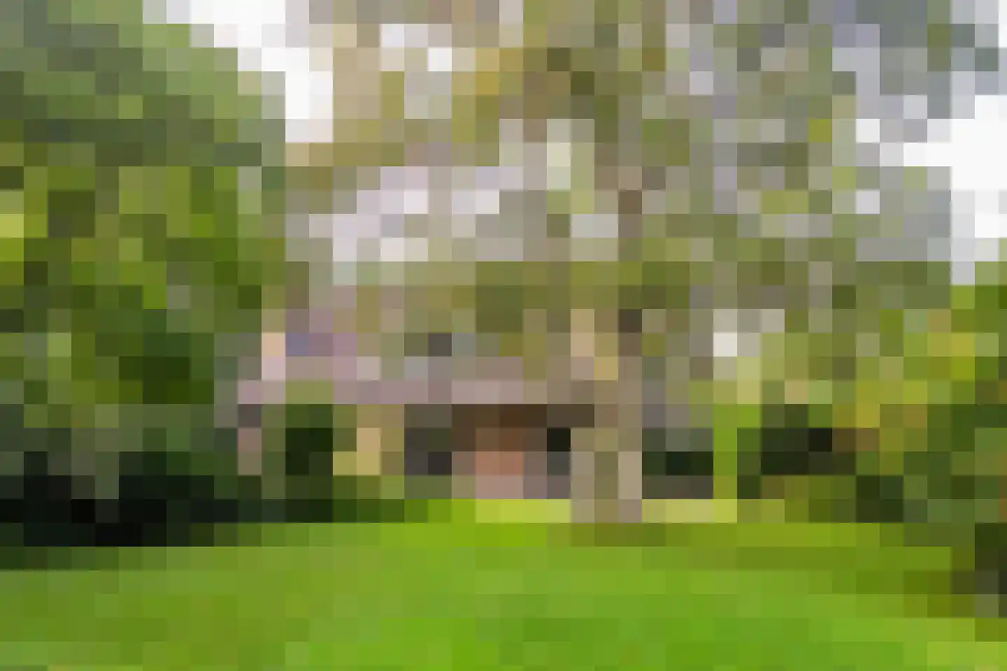 Oosterhoutseweg 141 Teteringen thumbnail 7