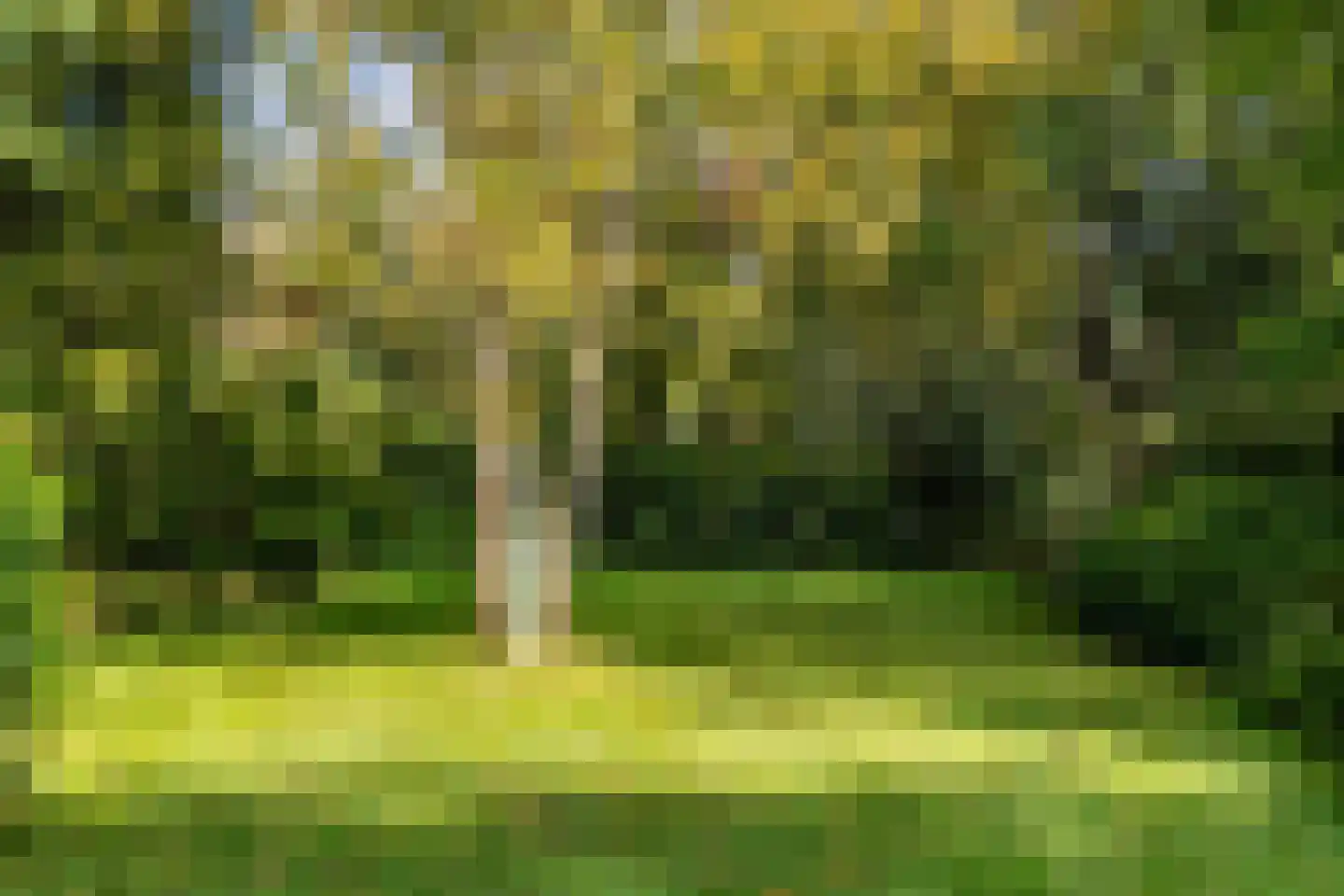 Oosterhoutseweg 141 Teteringen thumbnail 71