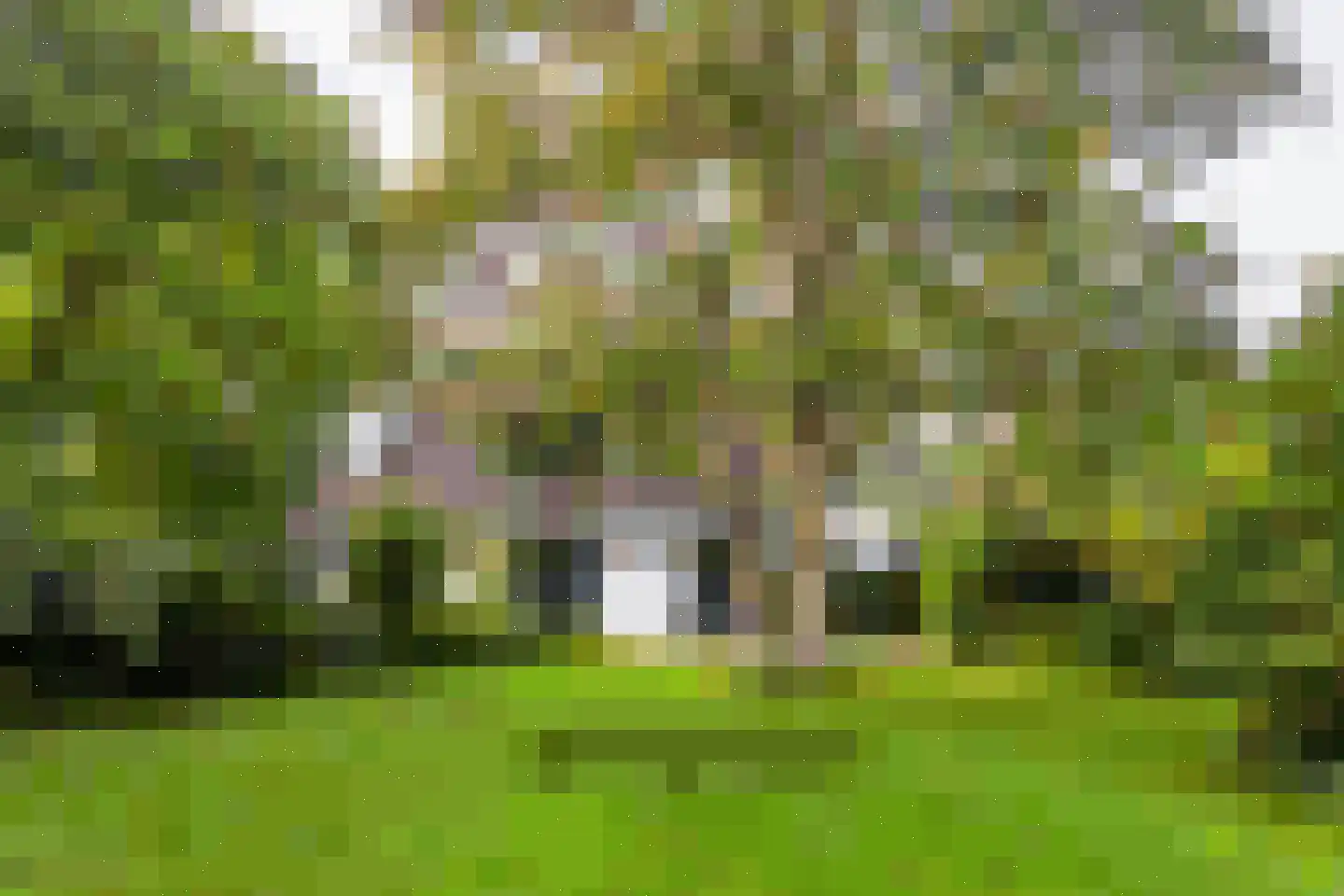 Oosterhoutseweg 141 Teteringen thumbnail 73
