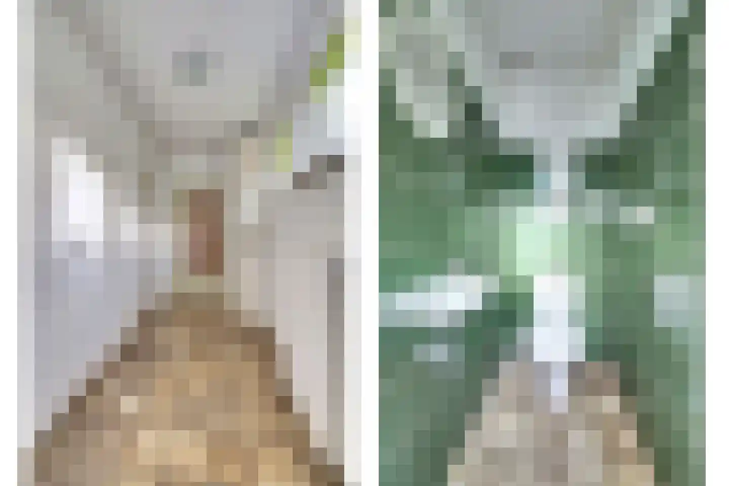 Oosterhoutseweg 8 Rijen thumbnail 12