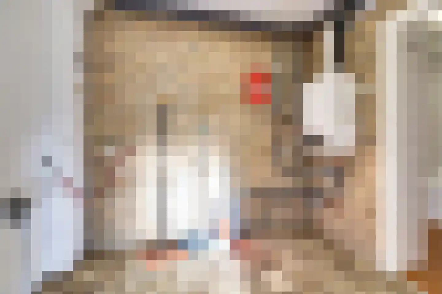 Oosterhoutseweg 8 Rijen thumbnail 13